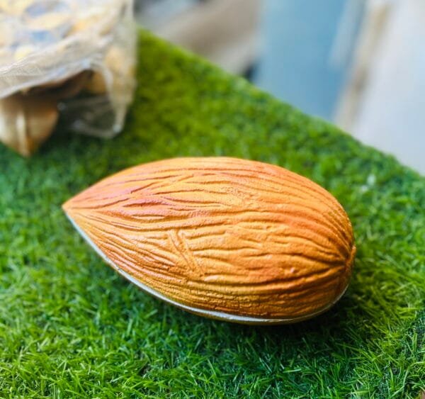 ZEN IMPEX Premium Almond/Badaam Decorative Dry Fruits showpiece for Drawing Room/Hotels Reception,Shops and Home Purpose Single Pieces.Size 7.25 * 4.0 inch