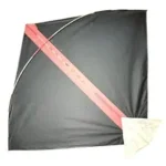 31aCgwH3X8L._SY300_SX300_QL70_FMwebp_