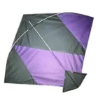 31cp8sGEmoL._SY300_SX300_QL70_FMwebp_