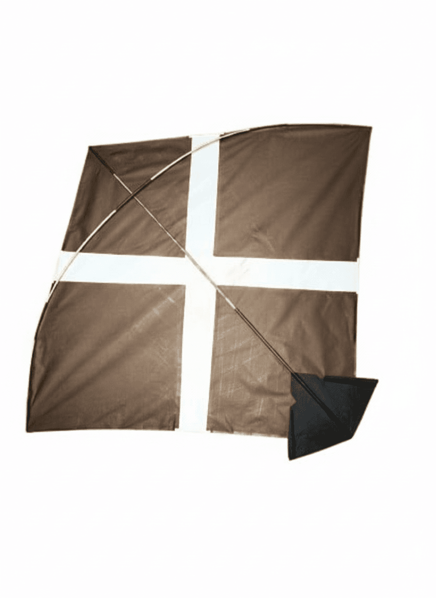 Zen Impex Addhi Cheel Paper Kites, Large Multicolour Tournament Professional Patang, Pack of 20 for Sky Flying and Festivals