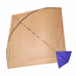 Gemini_Generated_Image_ew2y66ew2y66ew2y