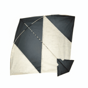 Zen IMPEX Paper Kite Cheel Kites ||ADDHI || Tournament Professional Paper Kite || Kites for Flying in Sky || patang Large Size | (Multicolour) (Pack of 20)