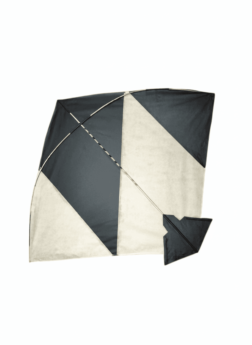 Zen IMPEX Paper Tournament Kite Cheel Kites ||ADDHI || Paper Kite || Kites for Flying in Sky || patang Large Size || (Multicolour) (Pack of 20) - Image 7
