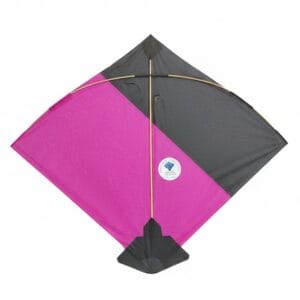 Paper Kite Cheel Kites ||ADDHI || Paper Kite || Kites for Flying in Sky || patang Large Size || (Multicolour) (Pack of 100)+complementry Free Tape (Copy) (Copy) (Copy) (Copy) (Copy) (Copy) (Copy)