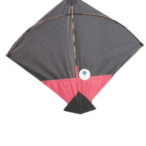 Paper Kite Cheel Kites ||ADDHI || Paper Kite || Kites for Flying in Sky || patang Large Size || (Multicolour) (Pack of 100)+complementry Free Tape (Copy) (Copy) (Copy) (Copy) (Copy)