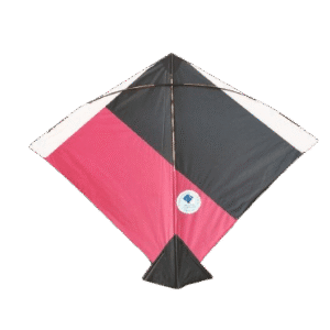 Paper Kite Cheel Kites ||ADDHI || Paper Kite || Kites for Flying in Sky || patang Large Size || (Multicolour) (Pack of 50)+complementry Free Tape