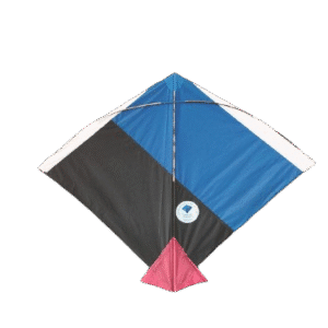 Paper Kite Cheel Kites ||ADDHI || Paper Kite || Kites for Flying in Sky || patang Large Size || (Multicolour) (Pack of 100)+complementry Free Tape (Copy) (Copy)