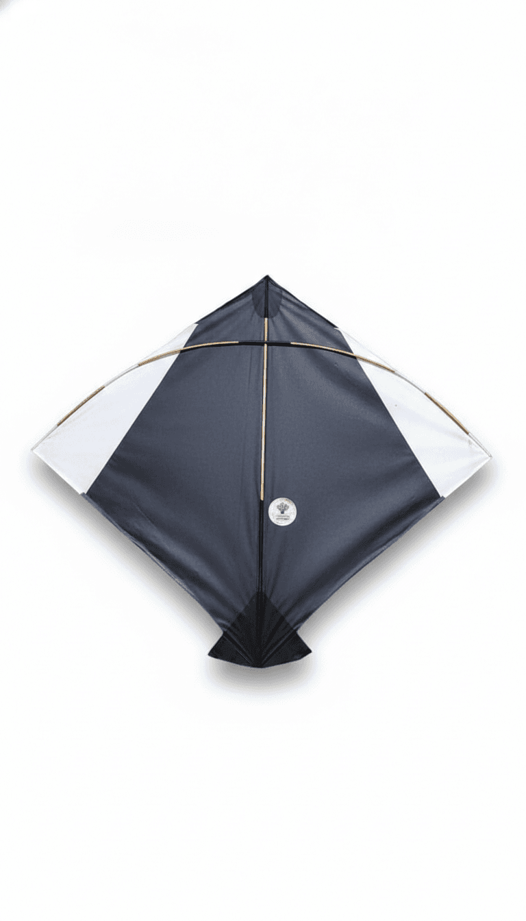 Paper Kite Cheel Kites ||ADDHI || Paper Kite || Kites for Flying in Sky || patang Large Size || (Multicolour) (Pack of 20) (Copy) (Copy) (Copy) (Copy)